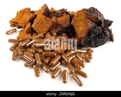 Chaga Mushroom with Capsules isolated on white Background - Healthy Nutrition Stock Photo