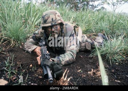 A Marine armed with an M16A2 rifle equipped with an M203 grenade launcher takes cover in the grass during a joint services exercise. Country: Panama (PAN) Stock Photo