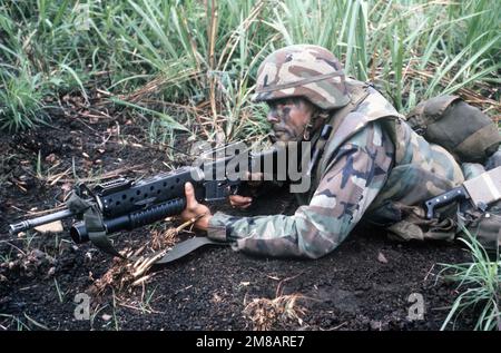 A Marine armed with an M16A2 rifle equipped with an M203 grenade launcher takes cover in the grass during a joint services exercise. Country: Panama (PAN) Stock Photo