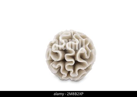 Isolated colored candle of various shapes. Scented candle. Candle with glass. Eggs, sea, heart, flower, fish, starfish, seashell, coral, angel, apple. Stock Photo