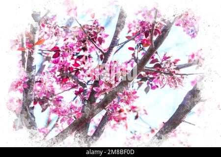 Watercolor painting of cherry blossom. Watercolor art springtime concept. Colorful flower watercolor background. Stock Photo