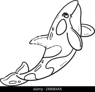 Mother Killer Whale Isolated Coloring Page  Stock Vector