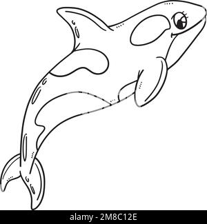 Mother Killer Whale Isolated Coloring Page  Stock Vector