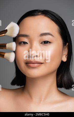 portrait of brunette asian woman with natural makeup looking at camera near different cosmetic brushes isolated on grey,stock image Stock Photo