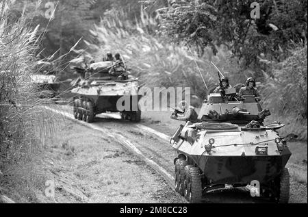 Marines of Company D, 2nd Light Armored Infantry Battalion, ride along a road at Empire Range aboard their LAV25 light armored vehicle during Operation CHISUM, a route reconnaissance patrol. Subject Operation/Series: CHISUM Country: Panama (PAN) Stock Photo