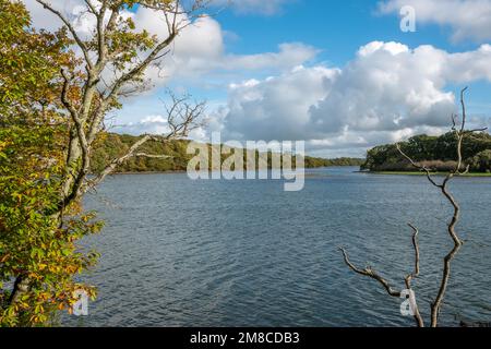 View of the River Hamble Hampshire England on a bright Autumn day with blue sky and fluffy white clouds Stock Photo
