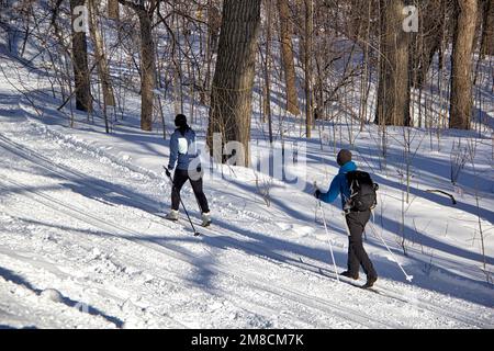 Two Cross-Country Skiers at Mont Royal Park - Montreal Stock Photo