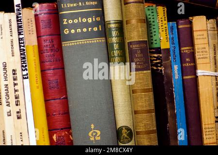 Old Spanish-language books on shelf Stock Photo
