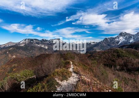 360 degree view from the top of Giaideit mountain. Mountains partly snow-capped and covered by mountain pines. Winter shot on a sunny day. Stock Photo