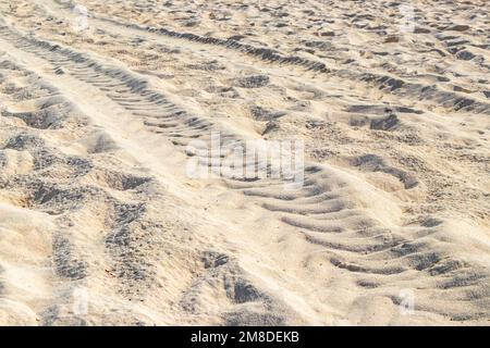 Ruts of an excavator in the beach sand in Playa del Carmen Quintana Roo ...