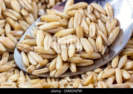 Natural dry oats seeds in metal spoon close up. Stock Photo