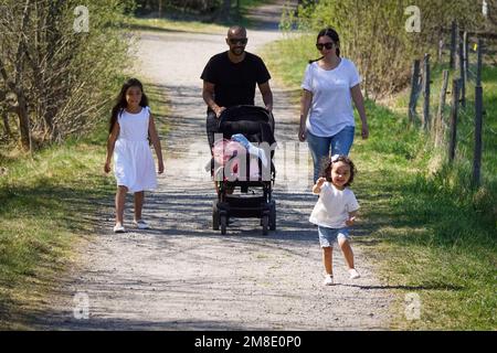 Full length of family walking on footpath amidst trees Stock Photo