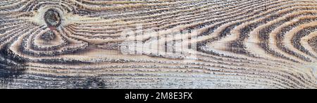 Texture of the burnt wood of a light tone. Can be used as a natural background with copy space. Stock Photo