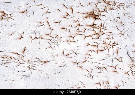 Old white paint on a rusty metal surface as a grunge texture or background. Stock Photo