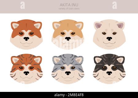 Akita Inu all colours clipart. Different coat colors set. Vector illustration Stock Vector