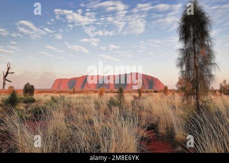 397 View of Uluru-Ayers Rock in the early morning under an almost clear sky. NT-Australia. Stock Photo