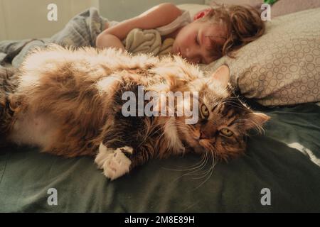 Boy sleeps with a cat Kids and pets. Stock Photo