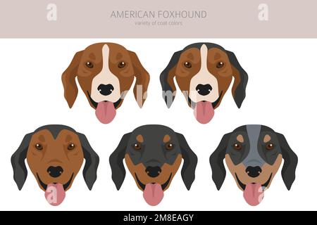 American foxhound all colours clipart. Different coat colors set ...