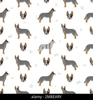 Australian cattle dog all colours seamless pattern.  Vector illustration Stock Vector