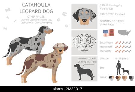 Catahoula Leopard dog clipart. All coat colors set. Different position ...