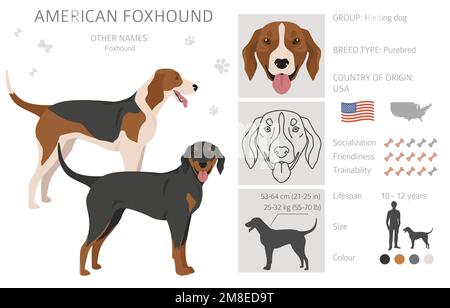 Foxhound coat 2025