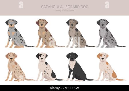 Catahoula Leopard dog clipart. All coat colors set. Different position ...