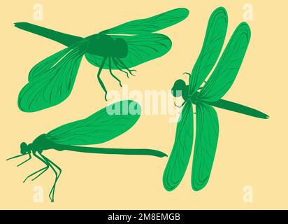 set green dragonfly symbol elements for design Stock Vector