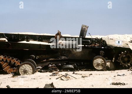 The remains of an Iraqi BMP-1 mechanized infantry combat vehicle lie in the desert during the ground phase of Operation Desert Storm. Subject Operation/Series: DESERT STORM Country: Kuwait (KWT) Stock Photo