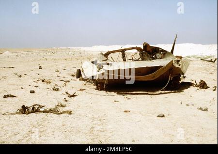 A destroyed Iraqi BMP-1 mechanized infantry combat vehicle lies in the desert during the ground phase of Operation Desert Storm. Subject Operation/Series: DESERT STORM Country: Kuwait (KWT) Stock Photo