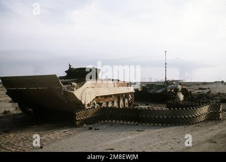 A demolished Iraqi BMP-1 mechanized infantry combat vehicle on a roadway in the Euphrates River Valley in the aftermath of Operation Desert Storm.. Subject Operation/Series: DESERT STORM Country: Iraq(IRQ) Stock Photo