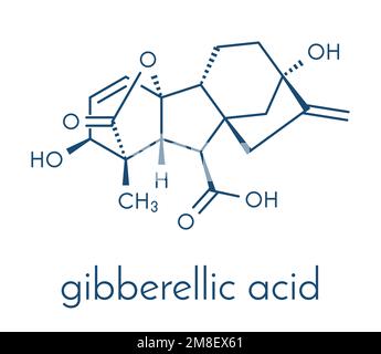 Gibberellic acid (gibberellin A3, GA3) plant hormone molecule. Skeletal formula. Stock Vector