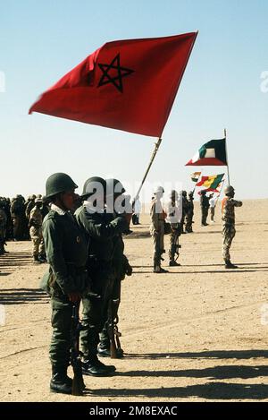 Troops from Morocco, Kuwait, Niger and Senegal, along with a medical unit from China, gather for review by King Fahd of Saudi Arabia. The units are taking part in an assembly of international coalition forces united against Saddam Hussein during Operation Desert Storm. Subject Operation/Series: DESERT STORM Country: Saudi Arabia (SAU) Stock Photo