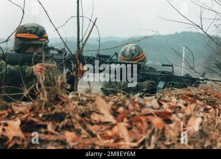 Two soldiers from 2nd Infantry Division, Orange team, take up fighting positions. The soldier on the left is armed with an M16 rifle with an M203 grenade launcher. The soldier on the right is equipped with an M249 Squad Automatic Weapon (SAW). Subject Operation/Series: TEAM SPIRIT '91 Base: Musumak Country: Korea Stock Photo
