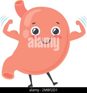 Strong healthy stomach character. Human organ mascot isolated on white background Stock Vector