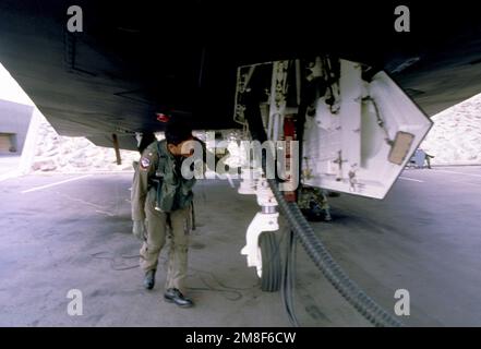 MAJ Joe Bowley of the 37th Tactical Fighter Wing performs a preflight inspection on his F-117A stealth fighter aircraft in preparation for the flight home after OPERATION DESERT STORM.. Subject Operation/Series: DESERT STORM Country: Saudi Arabia(SAU) Stock Photo