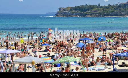 Sydney's famous Bondi Beach is always packed with people on a sunny Christmas Day, many dress in red and green with Santa hats Stock Photo