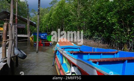 Two Red And Blue Fishing Boats, Anchored By The River With A Mangrove Forest In The Background Stock Photo
