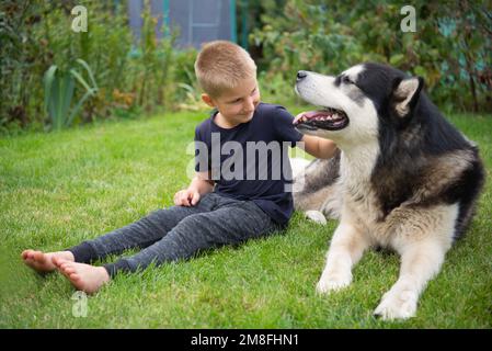 A boy with a dog on a green grass meadow Stock Photo