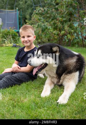 A boy with a dog on a green grass meadow Stock Photo