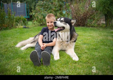 A boy with a dog on a green grass meadow Stock Photo