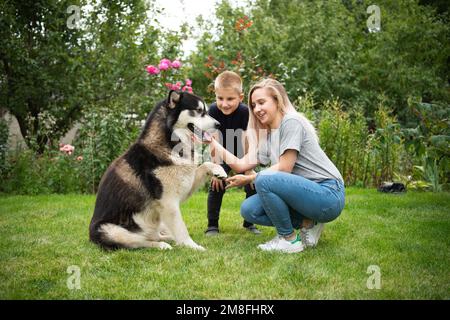 A boy and a girl with a dog on a green grass meadow Stock Photo