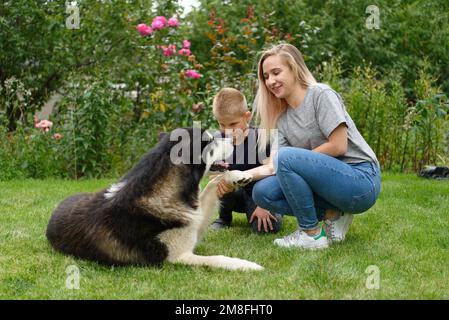 A boy and a girl with a dog on a green lawn Stock Photo