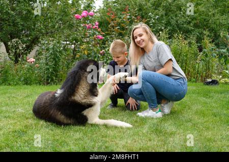 A boy and a girl with a dog on a green grass meadow Stock Photo