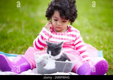 I wonder what shell do next...Cute little girl sitting on the lawn with her cute kitten in a basket. Stock Photo