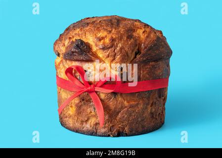 Close-up with a delicious homemade panettone, minimalist on a blue background. Panettone with red bow tie, isolated on a blue background Stock Photo