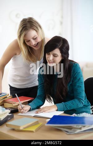 Theyll achieve exam success together. Two young female students studying together at home. Stock Photo