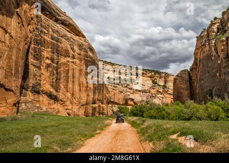 Whispering Cave area, near Steamboat Rock, Echo Park, Dinosaur National Monument, Colorado, USA Stock Photo