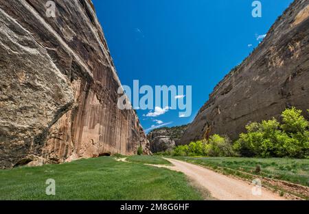 Whispering Cave on left, near Steamboat Rock, Echo Park, Dinosaur National Monument, Colorado, USA Stock Photo