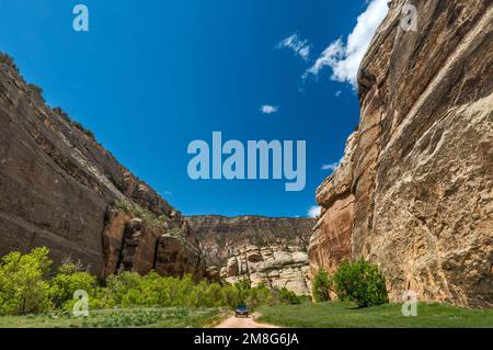 Whispering Cave area, near Steamboat Rock, Echo Park, Dinosaur National Monument, Colorado, USA Stock Photo