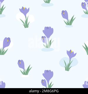 Floral seamless pattern. blooming spring flowers purple crocuses, saffron on light blue background. Vector illustration. Botanical pattern for decor, Stock Vector